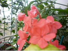 ��������� �������