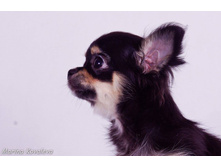 12471796 979173408815749 3035241834964656519 o.jpg