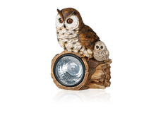 WOLTA GARDEN OWL, 23��, ������ 922p.jpg