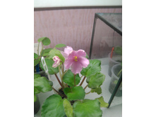 IMG 20160217 090149.jpg