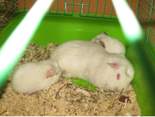 IMG 4645.JPG