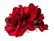 5048. �����. ����. ������ 11 ��. 49 ���.jpg