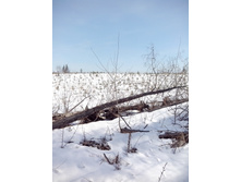 IMG 20160320 094237.jpg