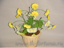 18-055� ������ ������������� � ������ "�������" ����-������, 24 ��., �����, ������� 135.00