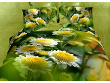 ���. TS03-649.jpg