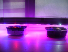 ����� №2