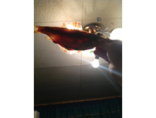 �� ����� ��������������