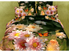 ���. TS01-530.jpg