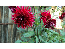 №1 �������.jpg