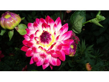 №60 ���� �����.jpg