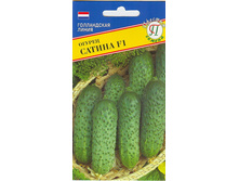 ������ ������ F1 (�������) 53,50 ���.