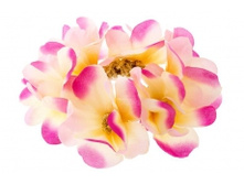 1716. �����. �������. ������ 6 ��. 24 ���.jpg