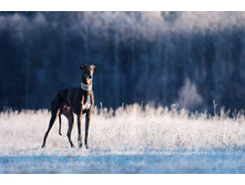 10978691 827329657333459 6838417093582788310 n.jpg