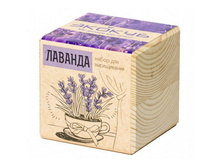 ������ ������� 250�.jpg