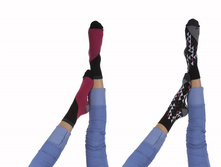 ERV5 �����.jpg