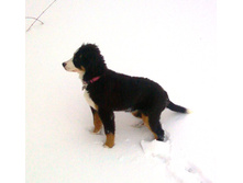 IMG 20160226 171840.jpg