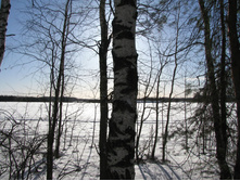 IMG 7510.jpg