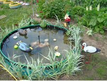 ���� ������� ����������� ����. 1.5� � �������� 8 ��(2 �������, 2 ��������)