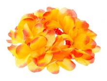 1744. �����. �������. ������ 6 ��. 24 ���.jpg