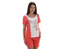 ����� ����������.jpg