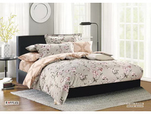 ���. CSP224-1.jpg