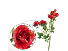 ��000109 ���� �������� �������� ����-������� 78 �� (18 ��. � ���.)(Mbox 144 ��.) 259�.jpeg