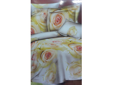 ������ ������ ����