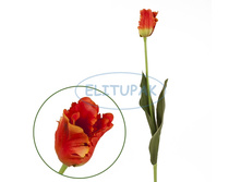 ��000801 ������� ������� ����������� ��������� 64 �� (24 ��. � ���.)(Mbox 432 ��.) 139�.jpeg