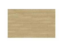 ECOCLICK NCP-3121 ��� �����