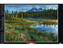 16309���� 1500 ������� ������������ ���� �����-������.jpg