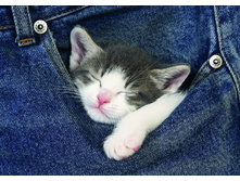 16735 ���� 500 ������� ������� �����.jpg