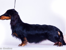 12764722 1010118412387915 6175664287201141572 o.jpg