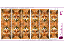 129 - ����.jpg