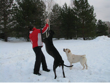 12697378 996865063713250 2214269715167111778 o.jpg