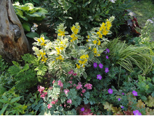 ��������� ����������� ���������