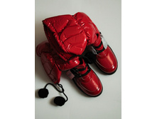 ������ ������� anona.JPG 800 ���