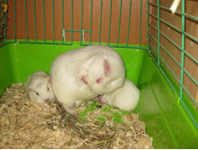 IMG 4593.JPG