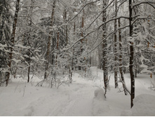 P 20160327 082012.jpg