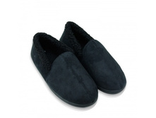 ������� FW-25 ������