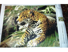 141190606-dsc 0032.jpg