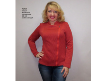 �2012 ��������