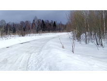 IMG 20160313 115823.jpg