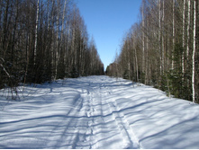 IMG 7527.jpg
