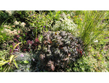 ������ ��������