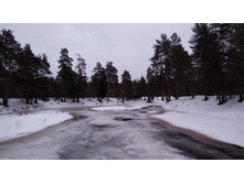 IMG 20160313 181308.jpg