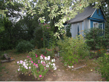 IMG 0641.JPG