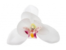 1438. �����. �����. ������ 9 ��. 29 ���.jpg