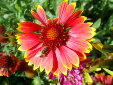 ���������, 50 �.