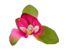 1435. �����. �����. ������ 9 ��. 29 ���.jpg