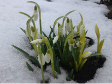 �������� (��� ���� 27.03.2016)